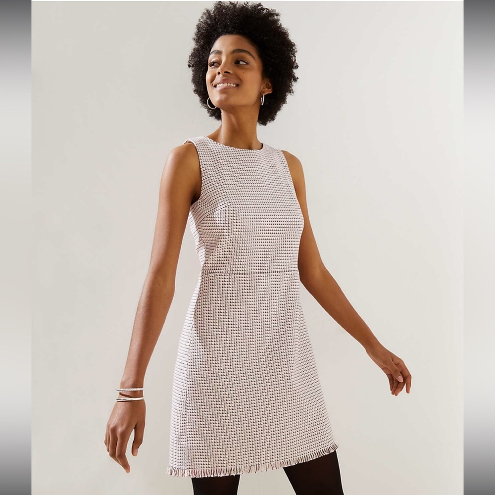 LOFT pink/white/maroon tweed shift dress